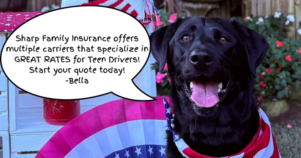 Bella the Lab saying that sharp family insurance has great rates for teen drivers.